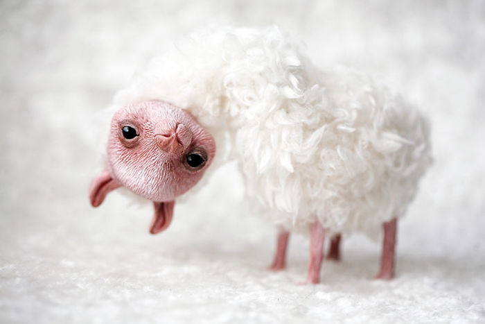 I Create Super Cute And Creepy Dolls I Create Super Cute And Creepy Dolls