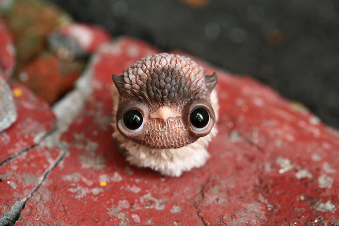 I Create Super Cute And Creepy Dolls I Create Super Cute And Creepy Dolls