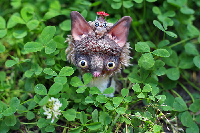 I Create Super Cute And Creepy Dolls I Create Super Cute And Creepy Dolls