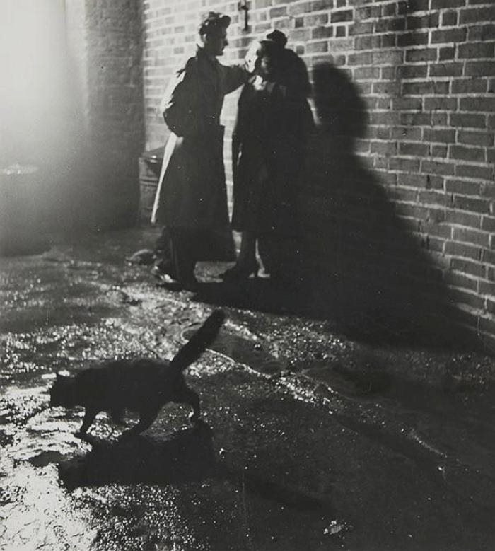 These Iconic &#8216;Cats Of London&#8217; Give Us A Glimpse Into The 1950s