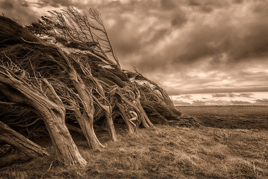 I Photograph Myself Naked With Trees To Show That We Are Nature