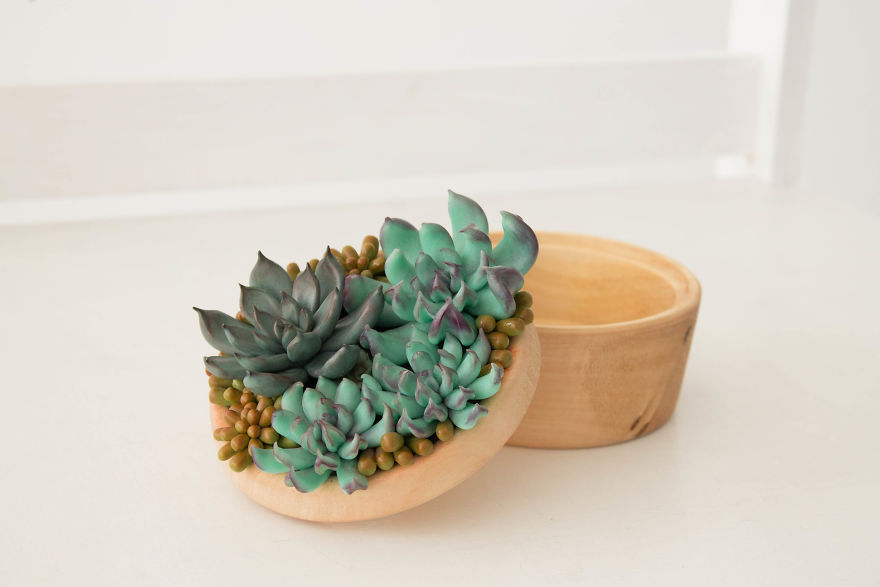 I Create Succulent-Inspired Home Decor Using Snail Shells Which I Found In The Countryside I Create Succulent-Inspired Home Decor Using Snail Shells Which I Found In The Countryside