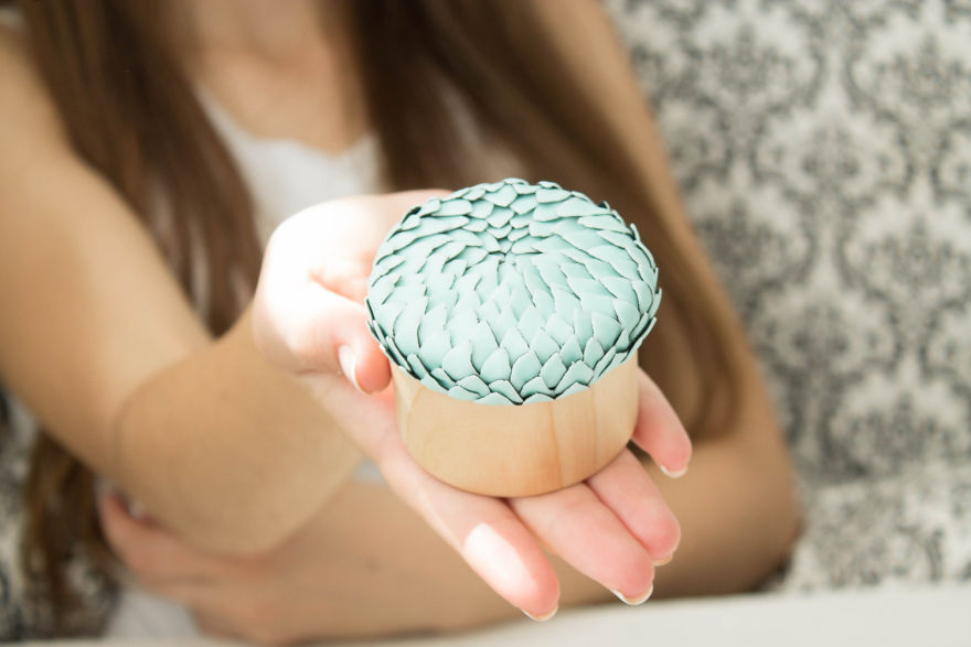 I Create Succulent-Inspired Home Decor Using Snail Shells Which I Found In The Countryside I Create Succulent-Inspired Home Decor Using Snail Shells Which I Found In The Countryside