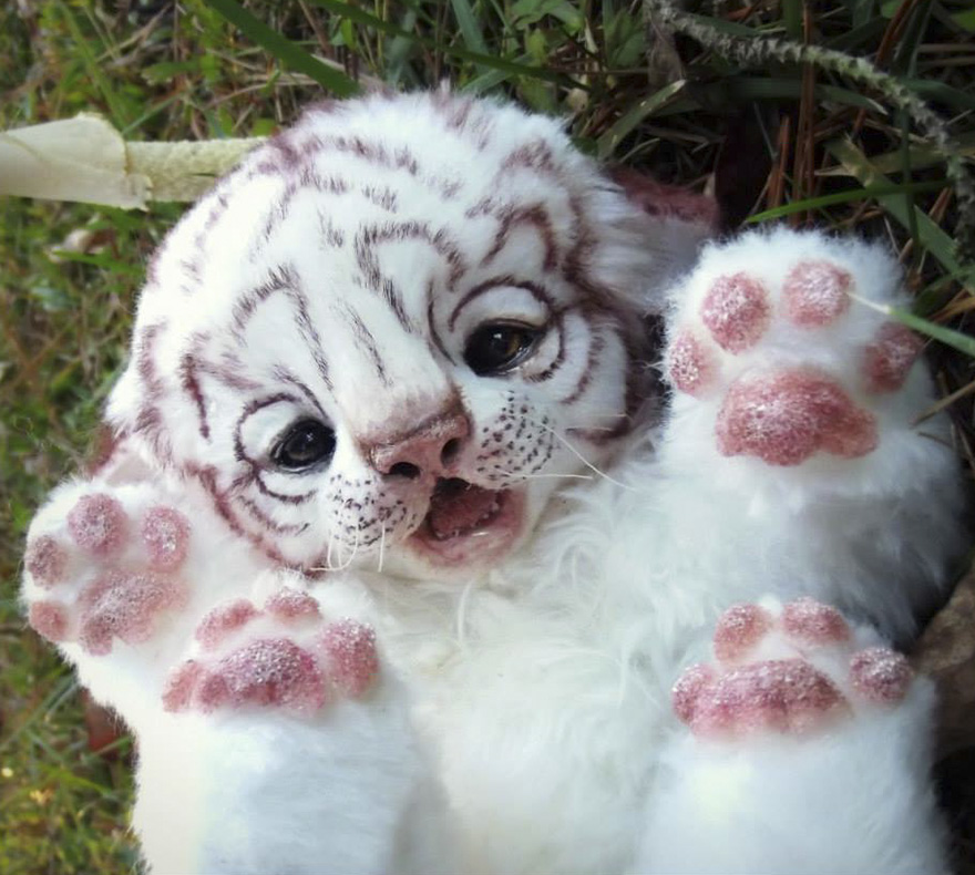 Realistic Baby Animals &#038; Dragons That I Create For People To Adopt