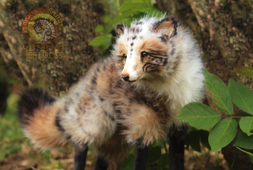 Realistic Baby Animals &#038; Dragons That I Create For People To Adopt