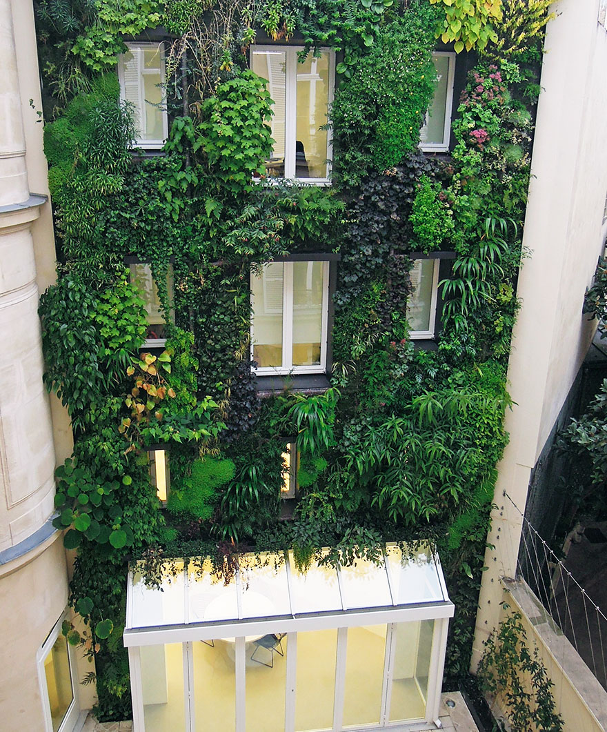 Paris’ New Law Allows Anyone To Plant Urban Gardens Paris’ New Law Allows Anyone To Plant Urban Gardens