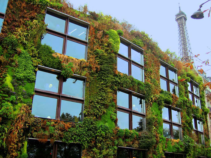 Paris’ New Law Allows Anyone To Plant Urban Gardens Paris’ New Law Allows Anyone To Plant Urban Gardens