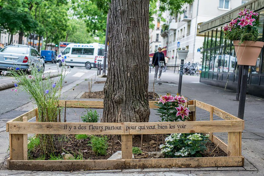Paris’ New Law Allows Anyone To Plant Urban Gardens Paris’ New Law Allows Anyone To Plant Urban Gardens