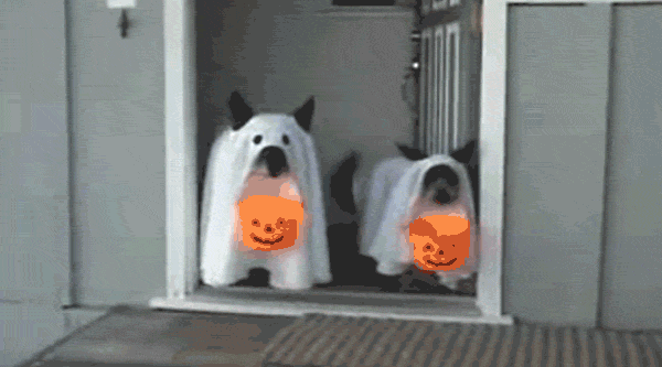 89 Terrifyingly Pawsome Halloween Costumes For Dogs
