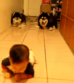 90 Of The Funniest Baby Parenting Moments Ever