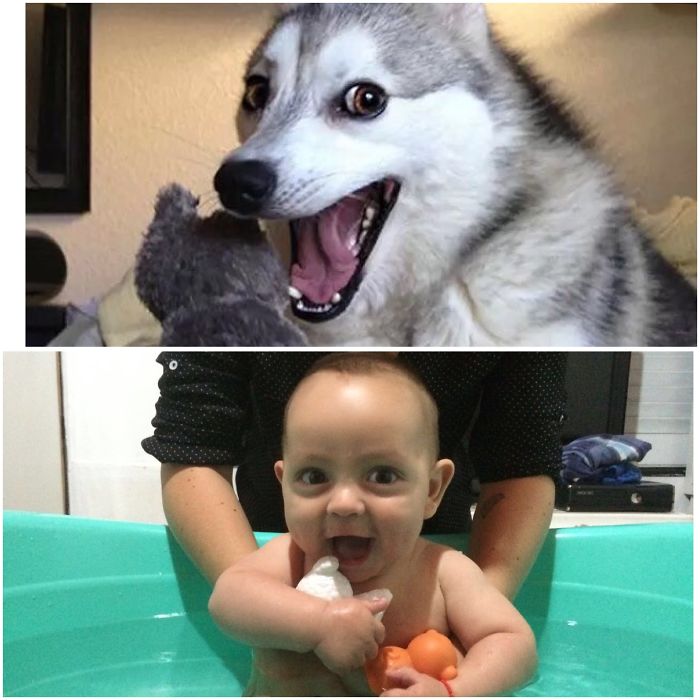 90 Of The Funniest Baby Parenting Moments Ever