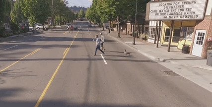 Man Who Rescued A Gosling From Drowning 2 Years Ago, Can’t Get Rid Of Her Because She Won’t Leave Him