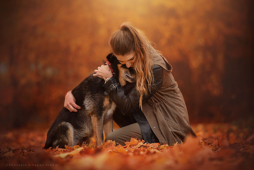 Photographer Captures Soulful Portraits Of Dogs Enjoying Autumn