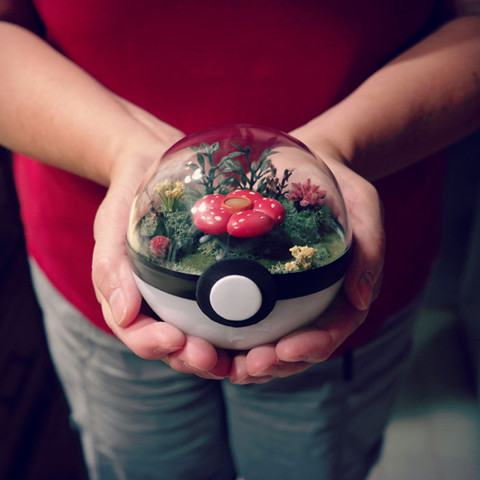 Pokeball Terrariums Are A Thing Now But The Demand Is So Big It’s Hard To ‘Catch’ Them Pokeball Terrariums Are A Thing Now But The Demand Is So Big It’s Hard To ‘Catch’ Them