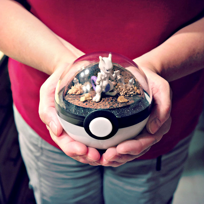 Pokeball Terrariums Are A Thing Now But The Demand Is So Big It’s Hard To ‘Catch’ Them Pokeball Terrariums Are A Thing Now But The Demand Is So Big It’s Hard To ‘Catch’ Them