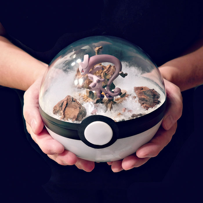Pokeball Terrariums Are A Thing Now But The Demand Is So Big It’s Hard To ‘Catch’ Them Pokeball Terrariums Are A Thing Now But The Demand Is So Big It’s Hard To ‘Catch’ Them