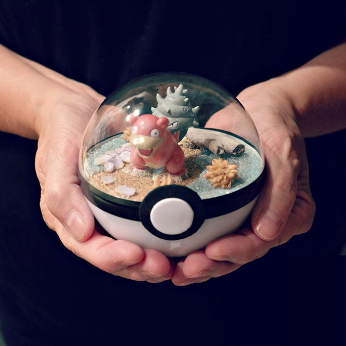 Pokeball Terrariums Are A Thing Now But The Demand Is So Big It’s Hard To ‘Catch’ Them Pokeball Terrariums Are A Thing Now But The Demand Is So Big It’s Hard To ‘Catch’ Them