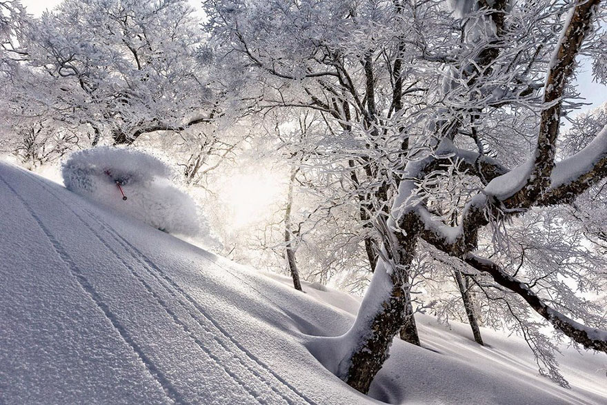 70 Of The Most Powerful Action Photos Of 2016 70 Of The Most Powerful Action Photos Of 2016