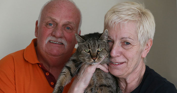 World’s Oldest Cat Is 31 And Still Has Many Lives Left World’s Oldest Cat Is 31 And Still Has Many Lives Left