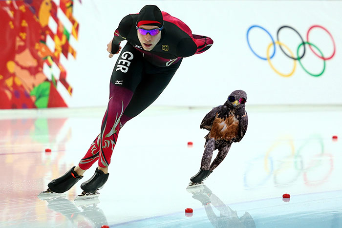 This Badass Hawk Just Sparked The Most Intense Photoshop Battle Ever (95 Pics) This Badass Hawk Just Sparked The Most Intense Photoshop Battle Ever (95 Pics)