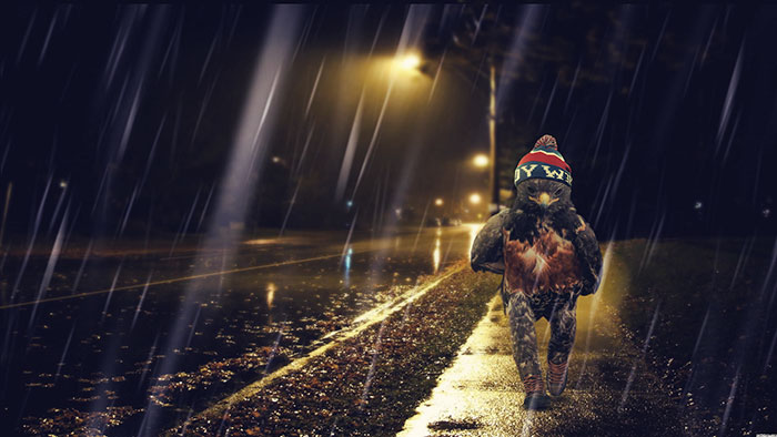 This Badass Hawk Just Sparked The Most Intense Photoshop Battle Ever (95 Pics) This Badass Hawk Just Sparked The Most Intense Photoshop Battle Ever (95 Pics)