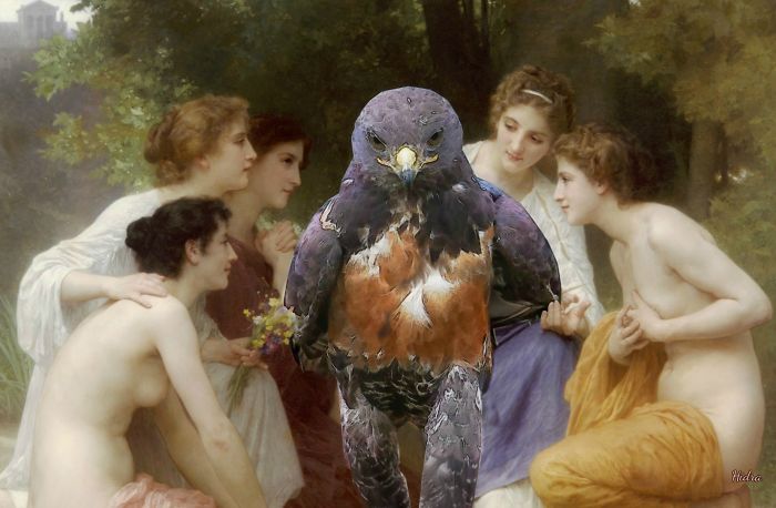 This Badass Hawk Just Sparked The Most Intense Photoshop Battle Ever (95 Pics) This Badass Hawk Just Sparked The Most Intense Photoshop Battle Ever (95 Pics)