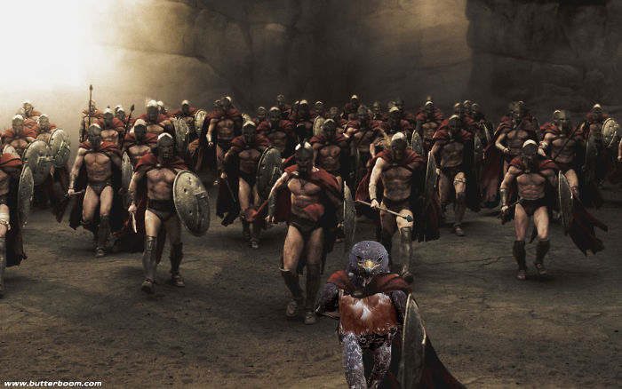 This Badass Hawk Just Sparked The Most Intense Photoshop Battle Ever (95 Pics) This Badass Hawk Just Sparked The Most Intense Photoshop Battle Ever (95 Pics)