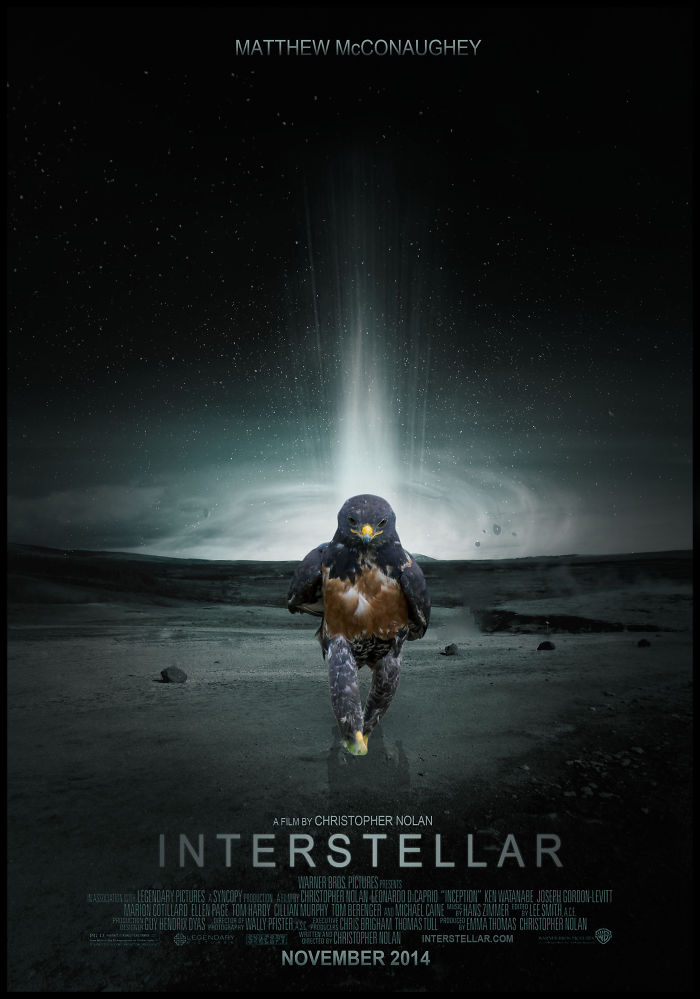 This Badass Hawk Just Sparked The Most Intense Photoshop Battle Ever (95 Pics) This Badass Hawk Just Sparked The Most Intense Photoshop Battle Ever (95 Pics)