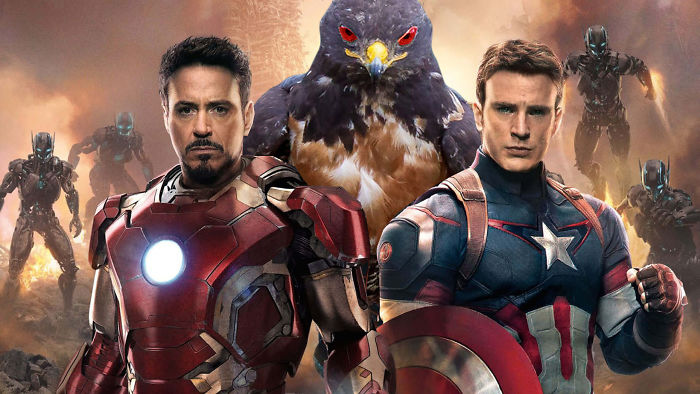 This Badass Hawk Just Sparked The Most Intense Photoshop Battle Ever (95 Pics) This Badass Hawk Just Sparked The Most Intense Photoshop Battle Ever (95 Pics)