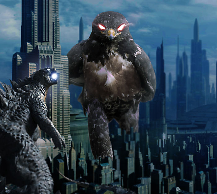 This Badass Hawk Just Sparked The Most Intense Photoshop Battle Ever (95 Pics) This Badass Hawk Just Sparked The Most Intense Photoshop Battle Ever (95 Pics)