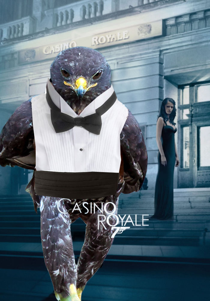 This Badass Hawk Just Sparked The Most Intense Photoshop Battle Ever (95 Pics) This Badass Hawk Just Sparked The Most Intense Photoshop Battle Ever (95 Pics)