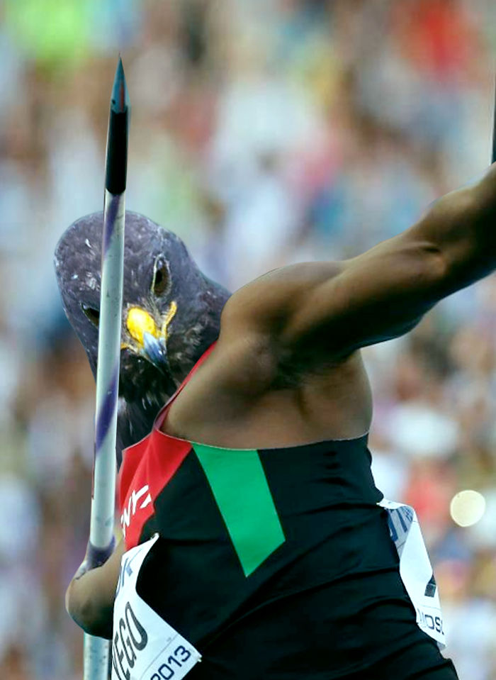 This Badass Hawk Just Sparked The Most Intense Photoshop Battle Ever (95 Pics) This Badass Hawk Just Sparked The Most Intense Photoshop Battle Ever (95 Pics)