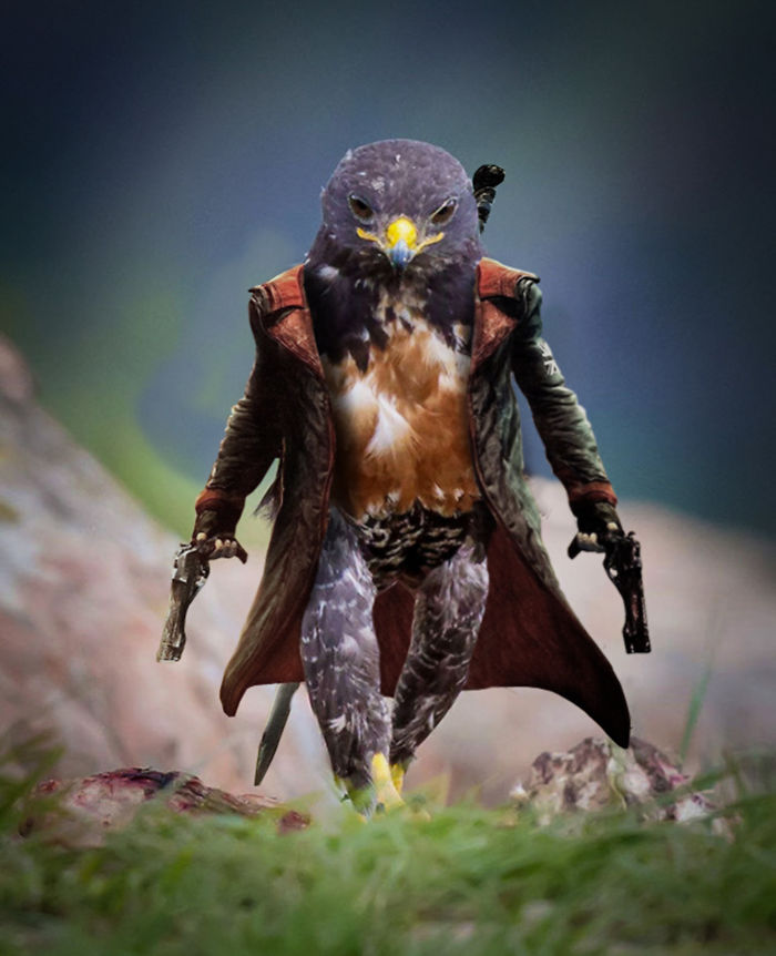 This Badass Hawk Just Sparked The Most Intense Photoshop Battle Ever (95 Pics) This Badass Hawk Just Sparked The Most Intense Photoshop Battle Ever (95 Pics)