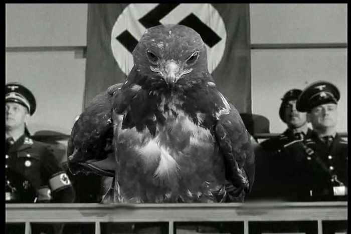 This Badass Hawk Just Sparked The Most Intense Photoshop Battle Ever (95 Pics) This Badass Hawk Just Sparked The Most Intense Photoshop Battle Ever (95 Pics)