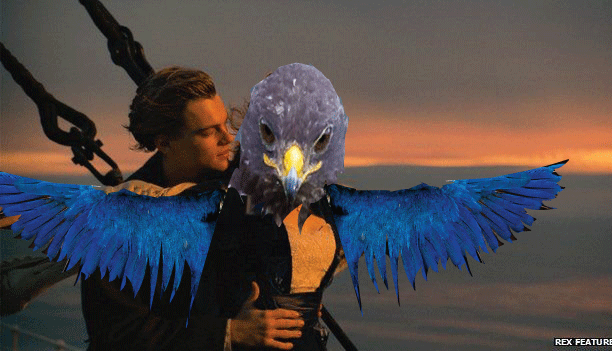 This Badass Hawk Just Sparked The Most Intense Photoshop Battle Ever (95 Pics) This Badass Hawk Just Sparked The Most Intense Photoshop Battle Ever (95 Pics)