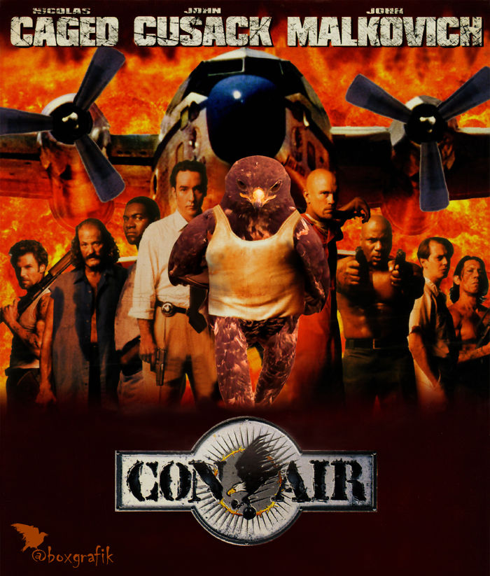 This Badass Hawk Just Sparked The Most Intense Photoshop Battle Ever (95 Pics) This Badass Hawk Just Sparked The Most Intense Photoshop Battle Ever (95 Pics)