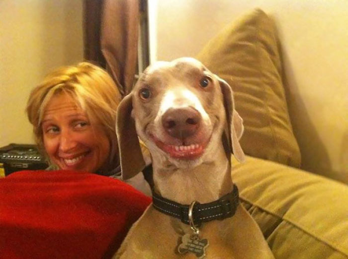 50 Horribly Non-Photogenic Animals That Will Make You Laugh Way Harder Than You Should