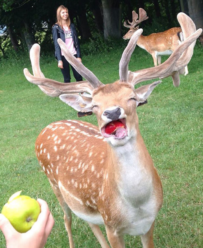 50 Horribly Non-Photogenic Animals That Will Make You Laugh Way Harder Than You Should
