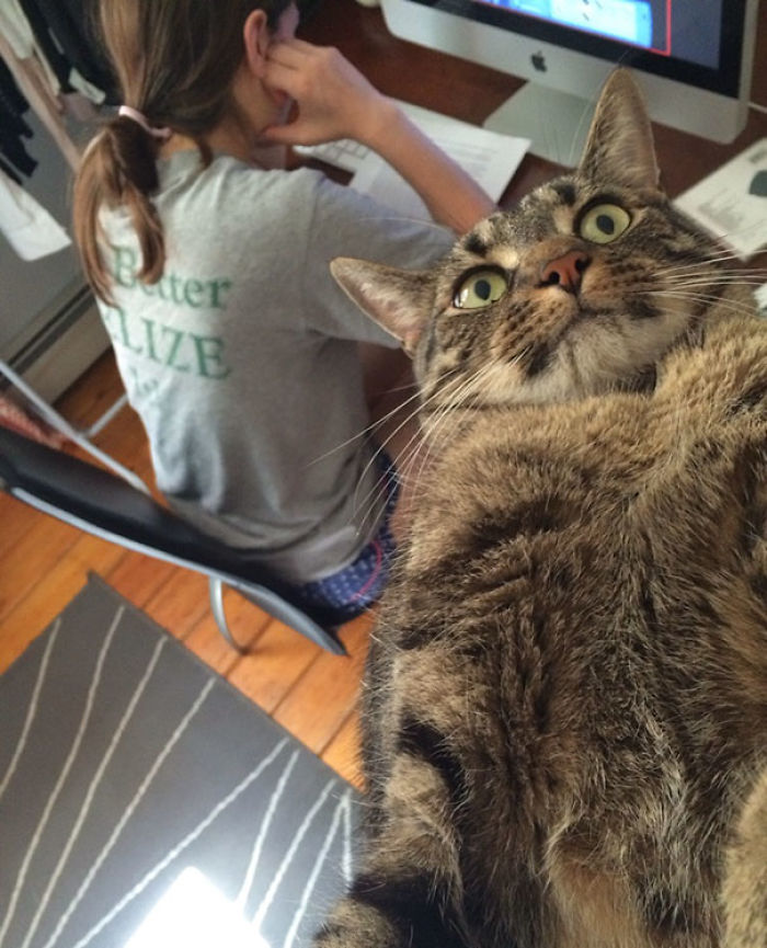 50 Horribly Non-Photogenic Animals That Will Make You Laugh Way Harder Than You Should