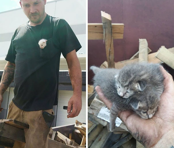 Man Hears Kittens Meowing, Spends 7 Hours Digging In Dumpster To Save Ditched Litter Of Furballs