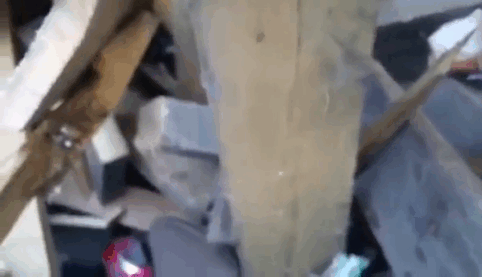 Man Hears Kittens Meowing, Spends 7 Hours Digging In Dumpster To Save Ditched Litter Of Furballs