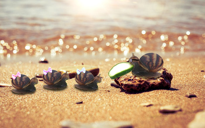 Snail Eating Cucumber Sparks Photoshop Battle, Internet Creates Better Love Story Than Twilight Snail Eating Cucumber Sparks Photoshop Battle, Internet Creates Better Love Story Than Twilight