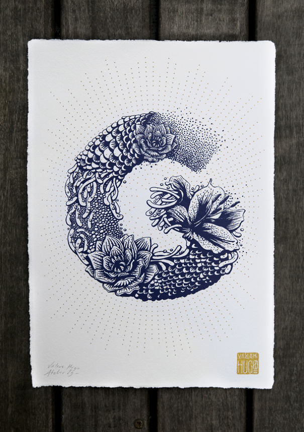 I Created A Complete Alphabet Inspired By Flora And Fauna I Created A Complete Alphabet Inspired By Flora And Fauna