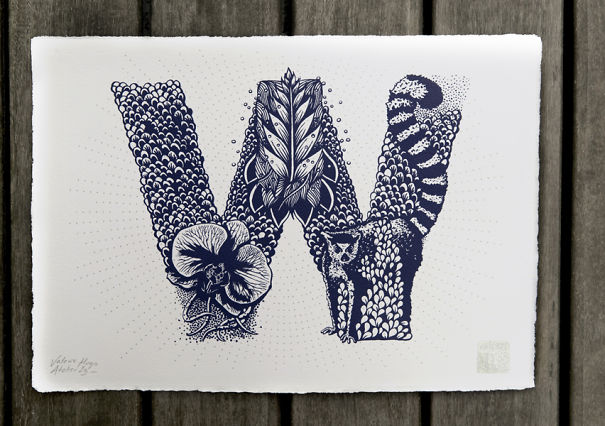 I Created A Complete Alphabet Inspired By Flora And Fauna I Created A Complete Alphabet Inspired By Flora And Fauna