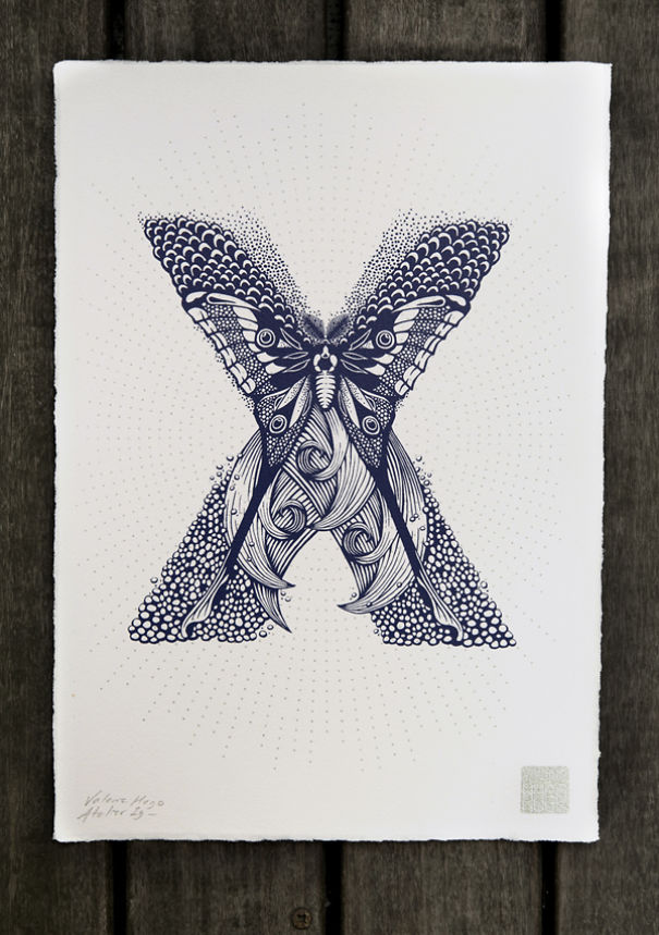 I Created A Complete Alphabet Inspired By Flora And Fauna I Created A Complete Alphabet Inspired By Flora And Fauna