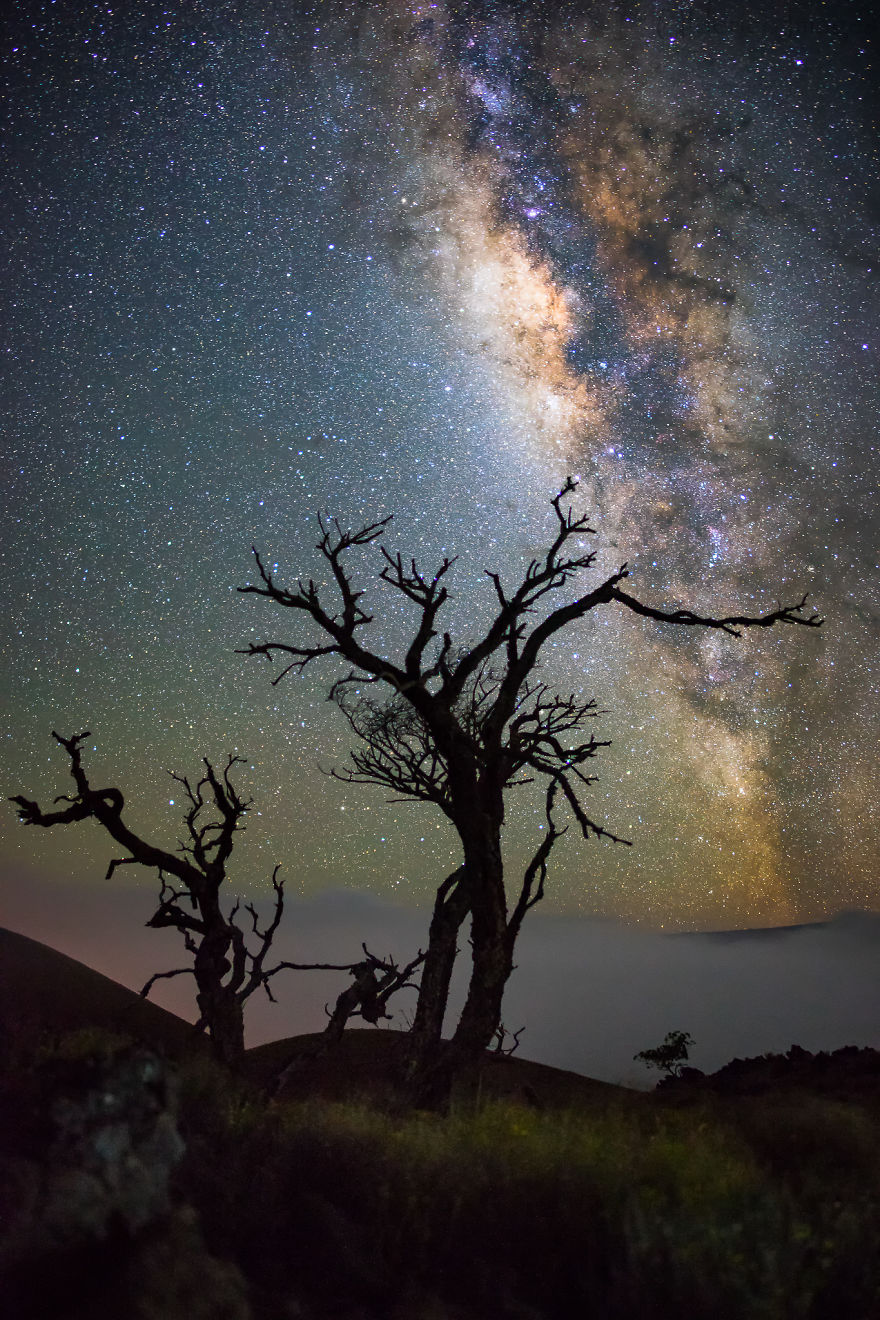 I Spent The Summer Photographing The Milky Way Galaxy In Hawaii