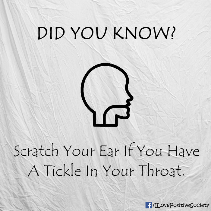 20 Awesome Body Hacks You Probably Didn’t Know 20 Awesome Body Hacks You Probably Didn’t Know