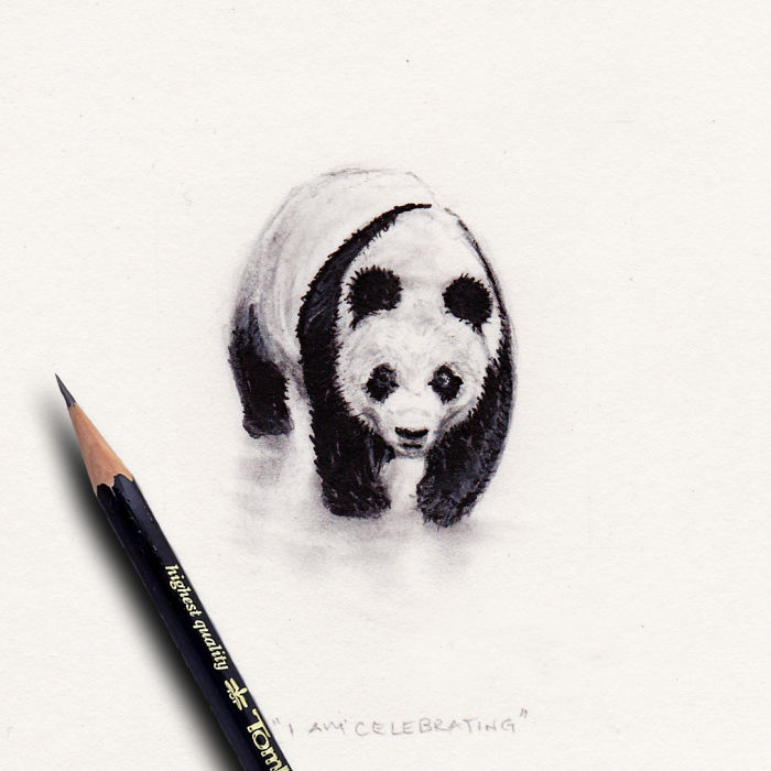 I Gave Up My Career To Raise A Family And To Stay Creative I Started Drawing Miniatures Every Day I Gave Up My Career To Raise A Family And To Stay Creative I Started Drawing Miniatures Every Day