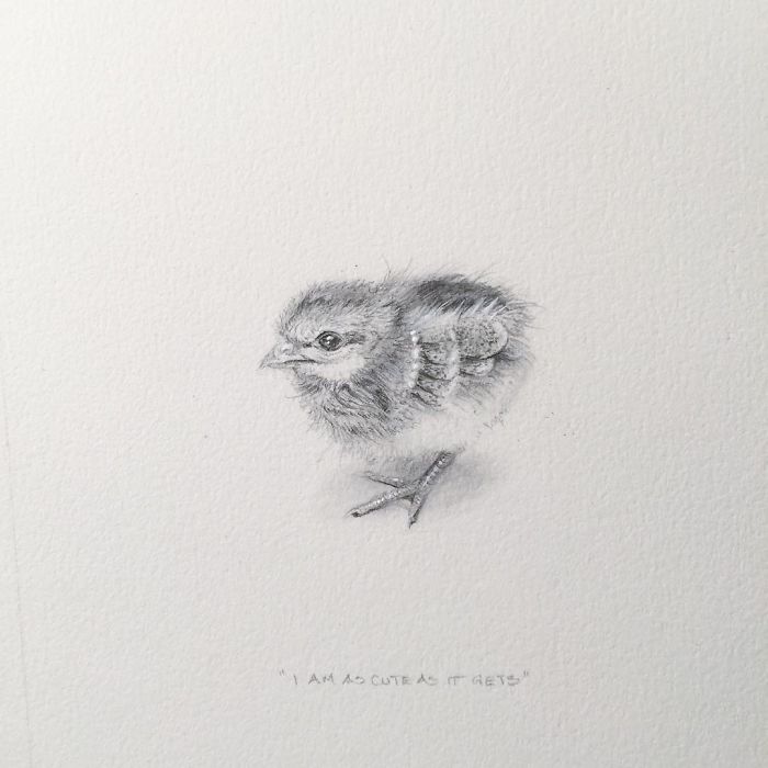 I Gave Up My Career To Raise A Family And To Stay Creative I Started Drawing Miniatures Every Day I Gave Up My Career To Raise A Family And To Stay Creative I Started Drawing Miniatures Every Day