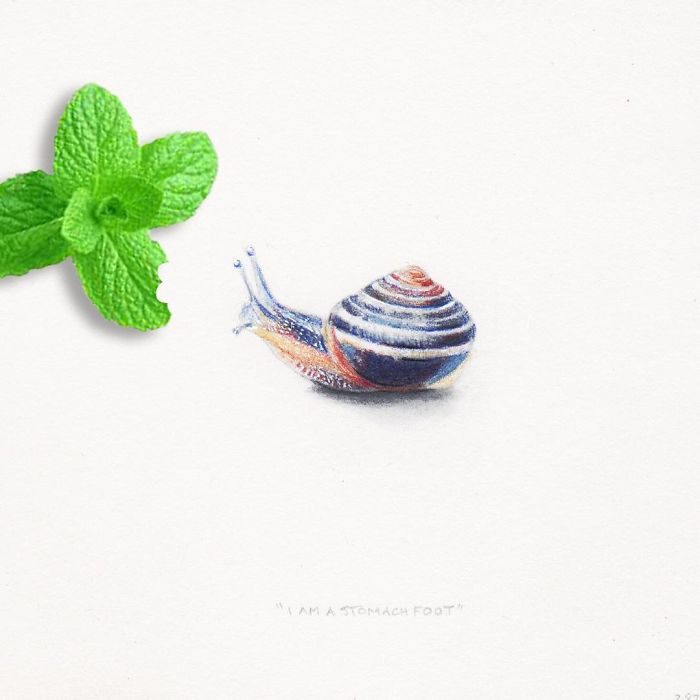 I Gave Up My Career To Raise A Family And To Stay Creative I Started Drawing Miniatures Every Day I Gave Up My Career To Raise A Family And To Stay Creative I Started Drawing Miniatures Every Day